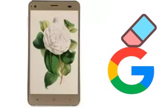 Como excluir a conta do Google em VC Camellia II