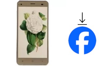 Como instalar o Facebook em um VC Camellia