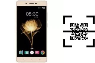 Como ler QR code no Accent Speed X2?