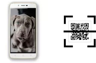 Como ler QR code no Siswoo A6 Vanilla?