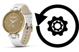 Como resetar um Garmin Lily