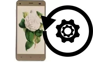 Como resetar um VC Camellia II