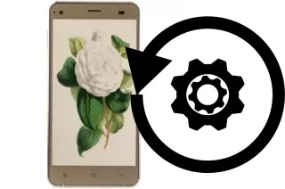 Como resetar um VC Camellia