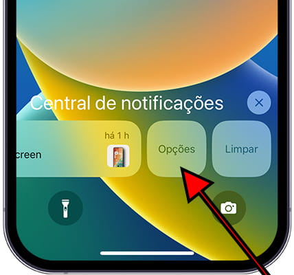 Opções de notificação do iOS