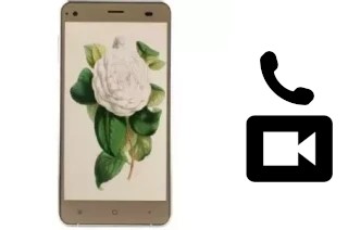 Faça chamadas de vídeo com um VC Camellia II