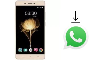 Como baixar e instalar o WhatsApp em Accent Speed X2