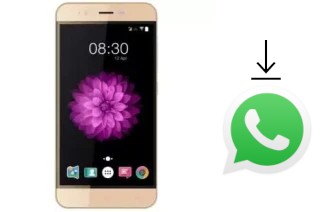 Como baixar e instalar o WhatsApp em Accent Speed Y2