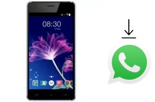 Como baixar e instalar o WhatsApp em Accent Xeon S