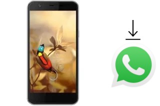 Como baixar e instalar o WhatsApp em AccessGo Gotune 3