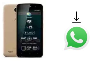 Como baixar e instalar o WhatsApp em Allview P6 Plus