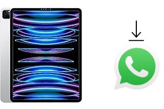 Como baixar e instalar o WhatsApp em Apple iPad Pro 12.9 (2022)