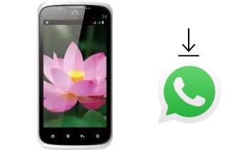 Como baixar e instalar o WhatsApp em Avio Sen S3