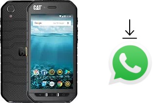 Como baixar e instalar o WhatsApp em Cat S41