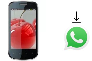 Como baixar e instalar o WhatsApp em Celkon A19