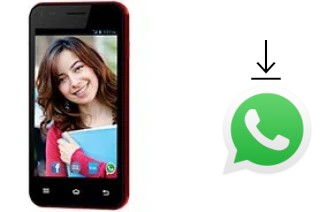 Como baixar e instalar o WhatsApp em Celkon Campus Whizz Q42