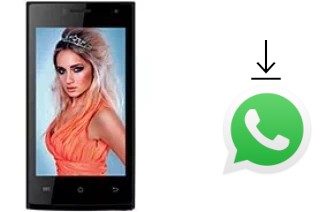 Como baixar e instalar o WhatsApp em Celkon Campus Crown Q40