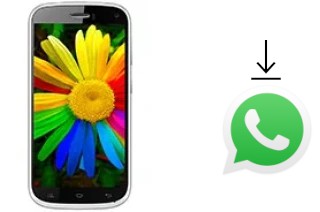 Como baixar e instalar o WhatsApp em Celkon Q470