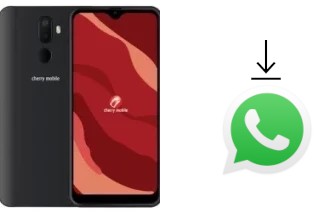 Como baixar e instalar o WhatsApp em Cherry Mobile Flare Y20