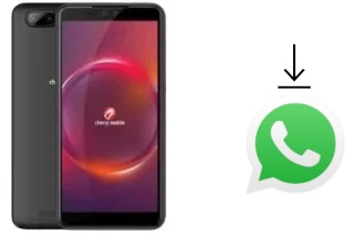 Como baixar e instalar o WhatsApp em Cherry Mobile Flare Y6 Pro