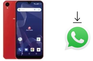 Como baixar e instalar o WhatsApp em Cherry Mobile Flare Y7