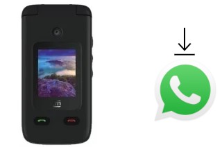 Como baixar e instalar o WhatsApp em Cloud Mobile Mist