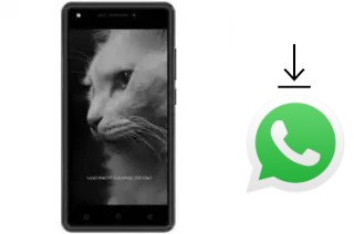 Como baixar e instalar o WhatsApp em DEXP BL250