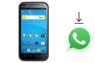 Como baixar e instalar o WhatsApp em DNS S4501M