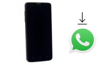 Como baixar e instalar o WhatsApp em DNS S4704