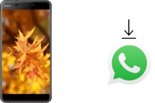 Como baixar e instalar o WhatsApp em Doopro C1 Pro