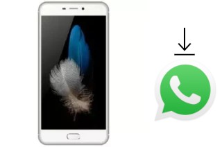 Como baixar e instalar o WhatsApp em Eko Star G50