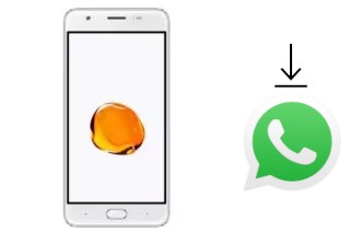 Como baixar e instalar o WhatsApp em ExMobile Chat 9 Max