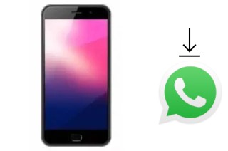 Como baixar e instalar o WhatsApp em ExMobile Chat 9