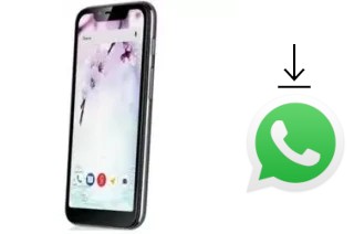 Como baixar e instalar o WhatsApp em Fly View