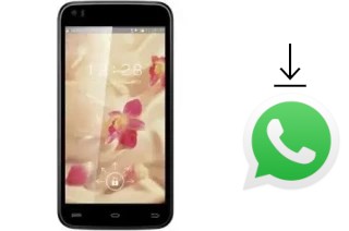 Como baixar e instalar o WhatsApp em GFive President Classic 9