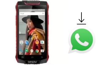 Como baixar e instalar o WhatsApp em Ginzzu RS8501