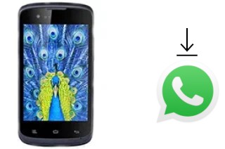 Como baixar e instalar o WhatsApp em Gionee Ctrl V1