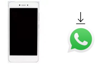 Como baixar e instalar o WhatsApp em Gionee F100