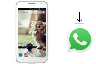 Como baixar e instalar o WhatsApp em GPhone Bold