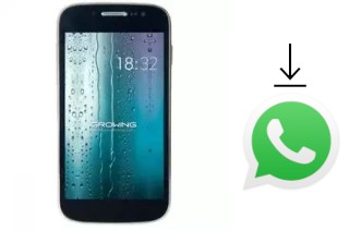 Como baixar e instalar o WhatsApp em Growing GMD4312