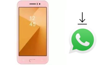 Como baixar e instalar o WhatsApp em Hocom Classic 4