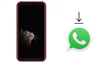 Como baixar e instalar o WhatsApp em Inovo I481