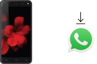 Como baixar e instalar o WhatsApp em Karbonn Titanium Frames S7