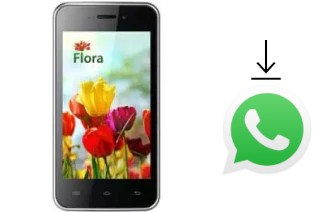 Como baixar e instalar o WhatsApp em KENEKSI Flora