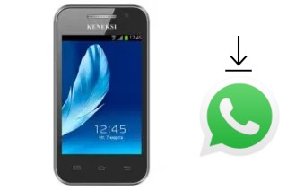 Como baixar e instalar o WhatsApp em KENEKSI Teta