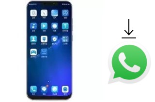 Como baixar e instalar o WhatsApp em Koobee F2 Plus