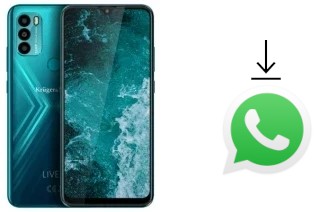 Como baixar e instalar o WhatsApp em Kruger-Matz LIVE 9