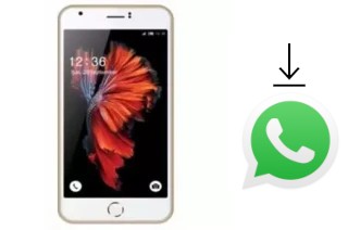 Como baixar e instalar o WhatsApp em L-Max Ester 1