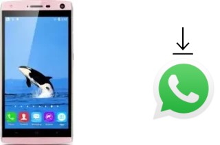 Como baixar e instalar o WhatsApp em Landvo V11