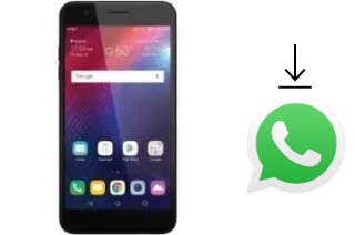 Como baixar e instalar o WhatsApp em LG Phoenix Plus