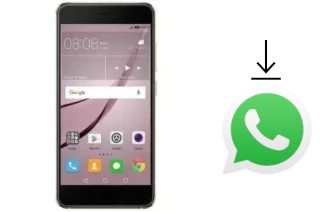 Como baixar e instalar o WhatsApp em Meeg 210R